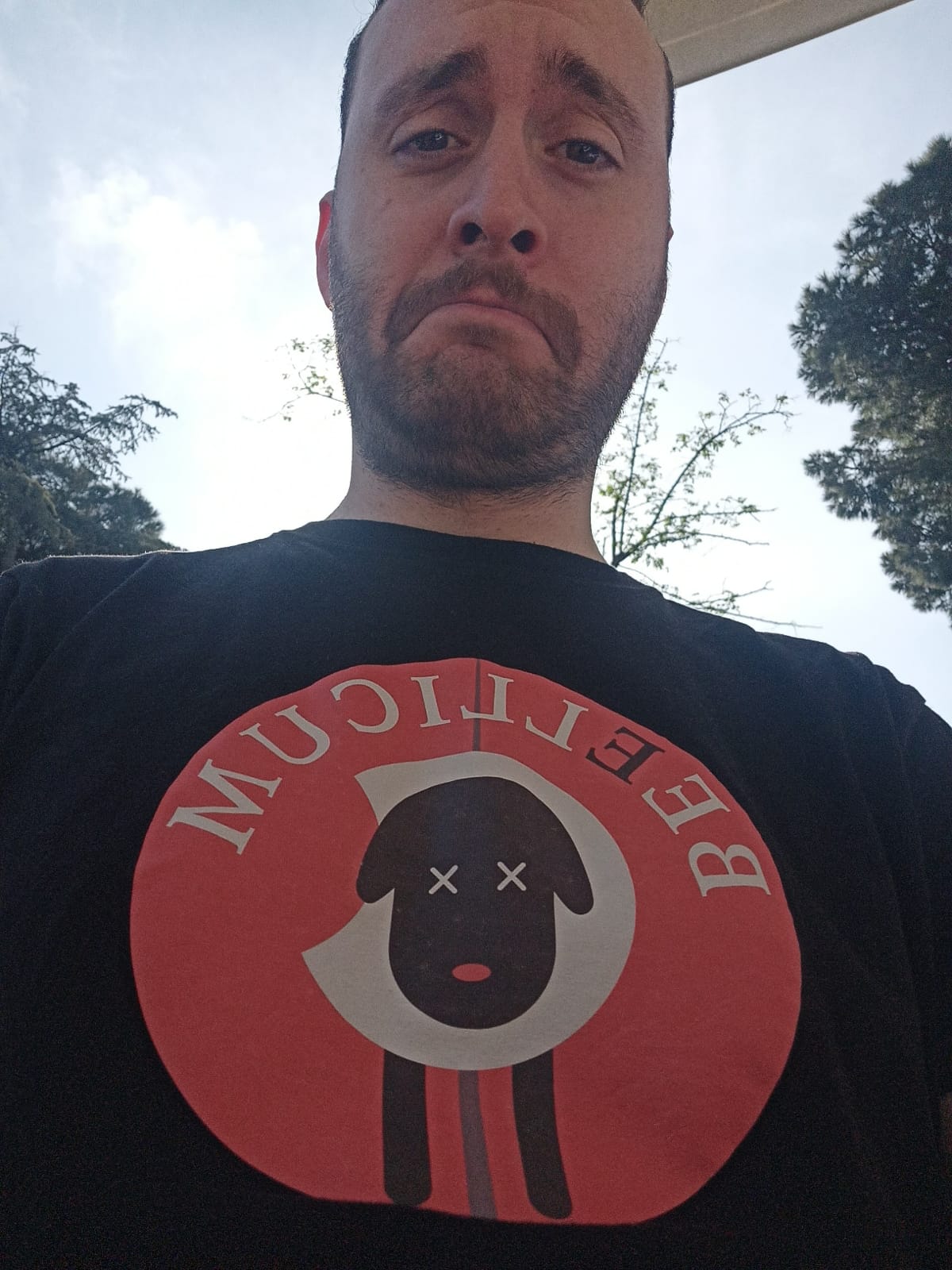 Beellicvm-dinasty (4)