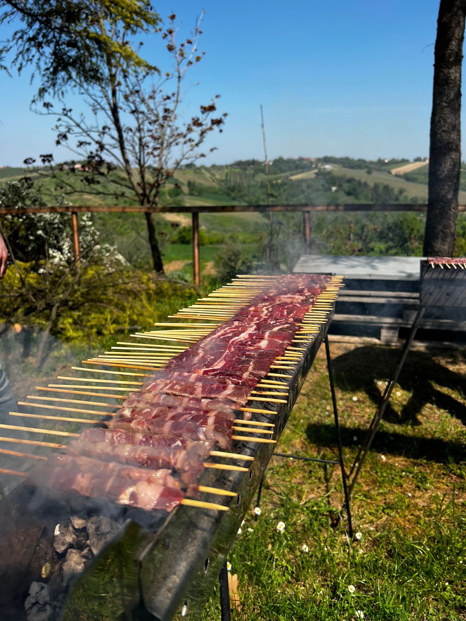 Beellicvm-dinasty (5)