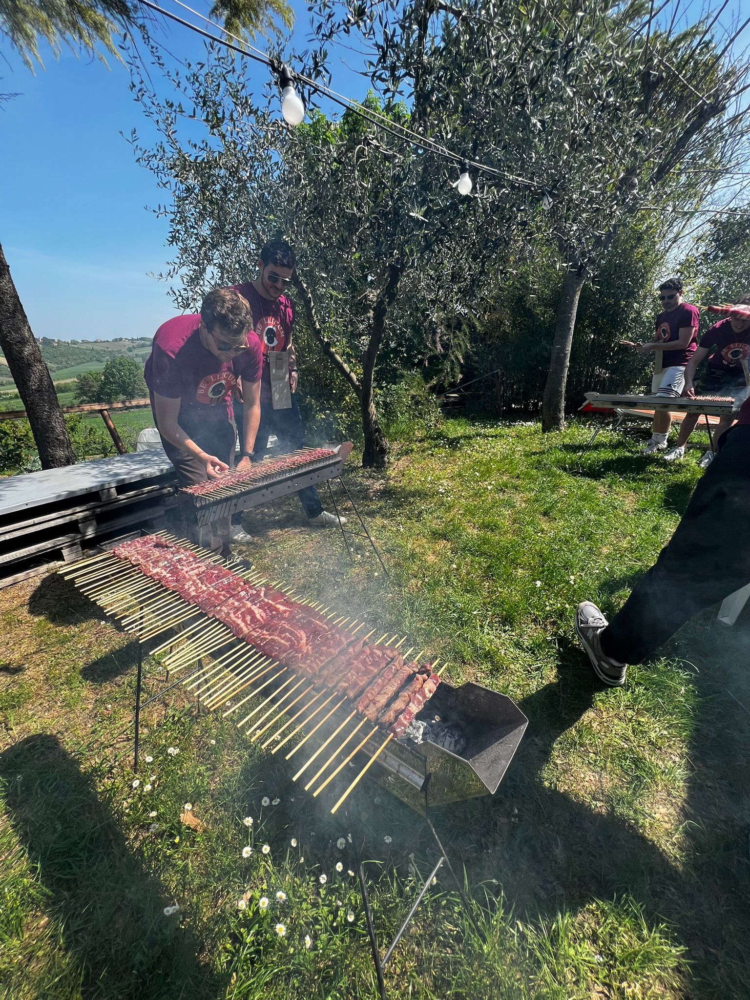 Beellicvm-dinasty (6)